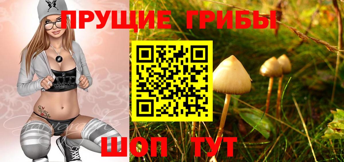 Зеленогорск  Галлюциногенные грибы прущие грибы  Вход с VPN 