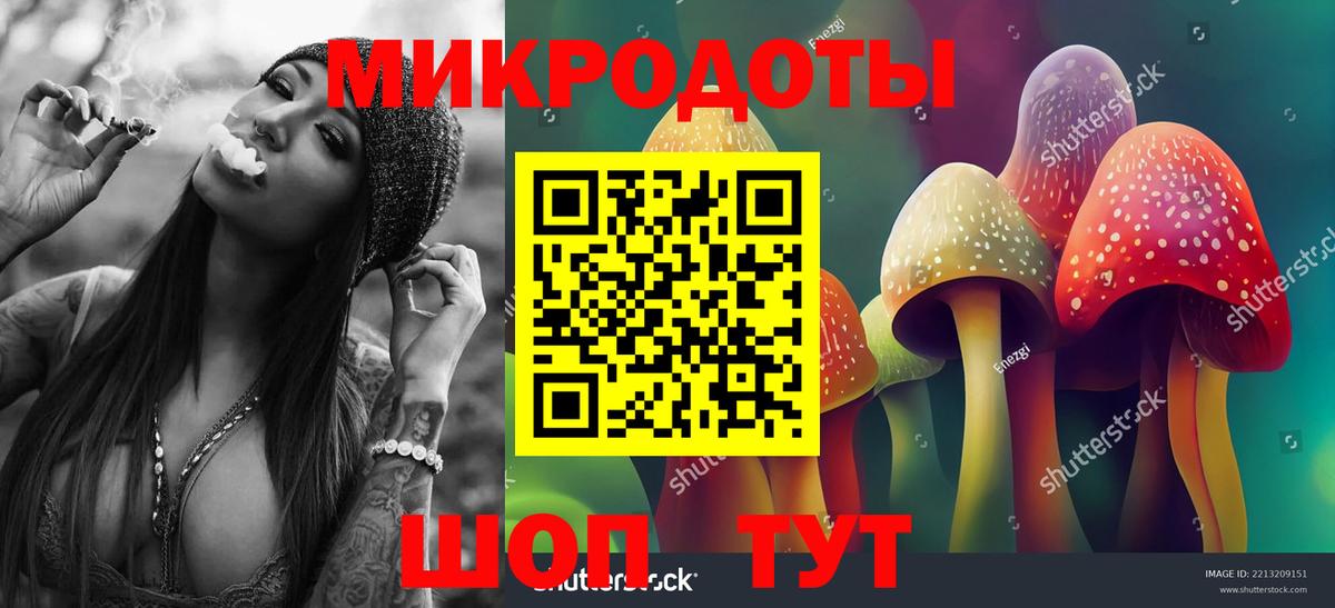 Псилоцибиновые грибы мухоморы Зеленогорск